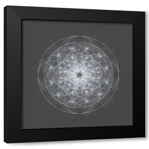 Dynamic II Black Modern Wood Framed Art Print with Double Matting by Anderson, Tyler