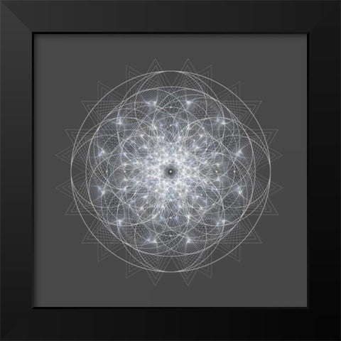 Dynamic II Black Modern Wood Framed Art Print by Anderson, Tyler