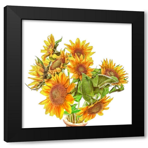 Sunflowers Black Modern Wood Framed Art Print with Double Matting by Reynolds, Richard