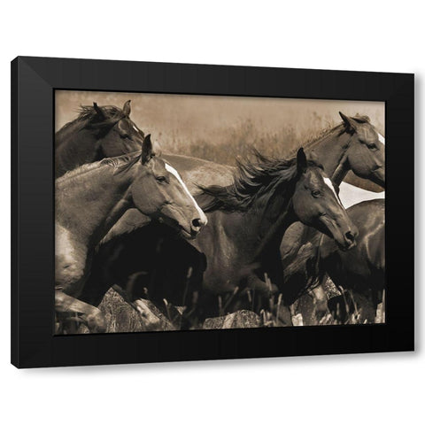 Middle of the Pack Black Modern Wood Framed Art Print by Dawson, Robert
