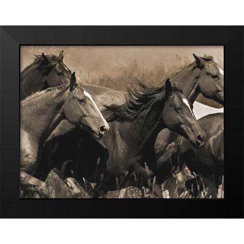Middle of the Pack Black Modern Wood Framed Art Print by Dawson, Robert