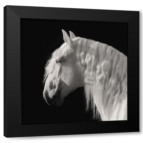 Contemplation Black Modern Wood Framed Art Print with Double Matting by Dawson, Robert