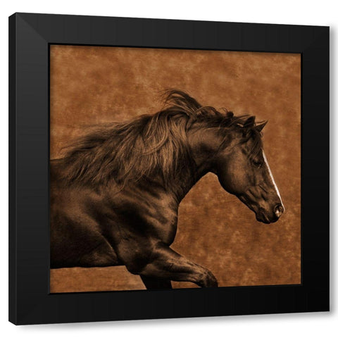 Eastward Gallop Black Modern Wood Framed Art Print by Dawson, Robert