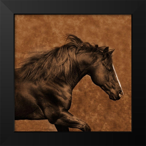 Eastward Gallop Black Modern Wood Framed Art Print by Dawson, Robert