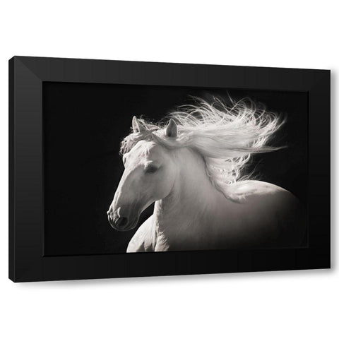 Grey Ghost Black Modern Wood Framed Art Print with Double Matting by Dawson, Robert