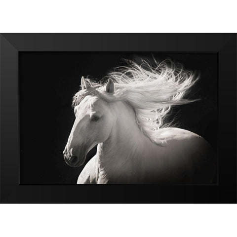 Grey Ghost Black Modern Wood Framed Art Print by Dawson, Robert