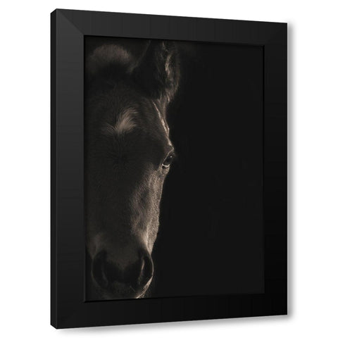 Look At Me Black Modern Wood Framed Art Print with Double Matting by Dawson, Robert