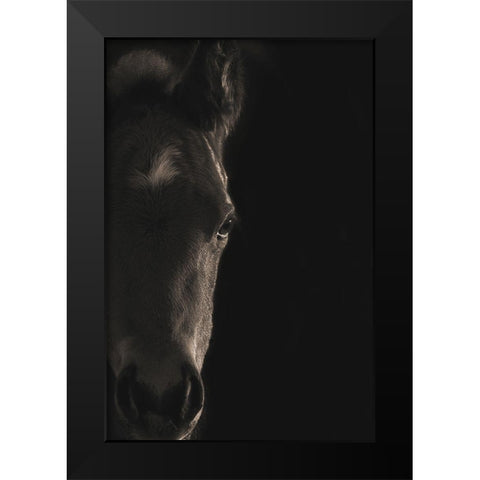 Look At Me Black Modern Wood Framed Art Print by Dawson, Robert