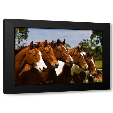 Best Friends Black Modern Wood Framed Art Print by Dawson, Robert