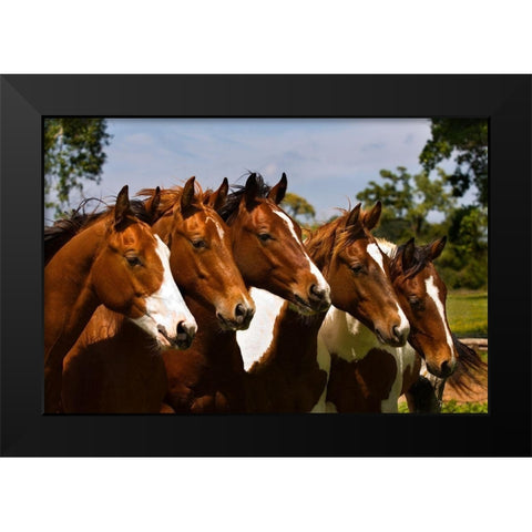 Best Friends Black Modern Wood Framed Art Print by Dawson, Robert