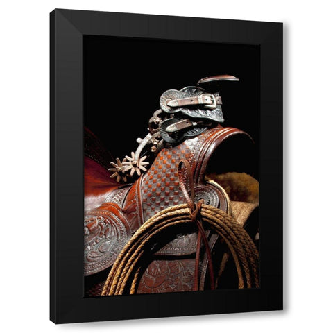 California Spurs Black Modern Wood Framed Art Print with Double Matting by Dawson, Robert