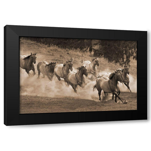 Leader of the Pack Black Modern Wood Framed Art Print with Double Matting by Dawson, Robert