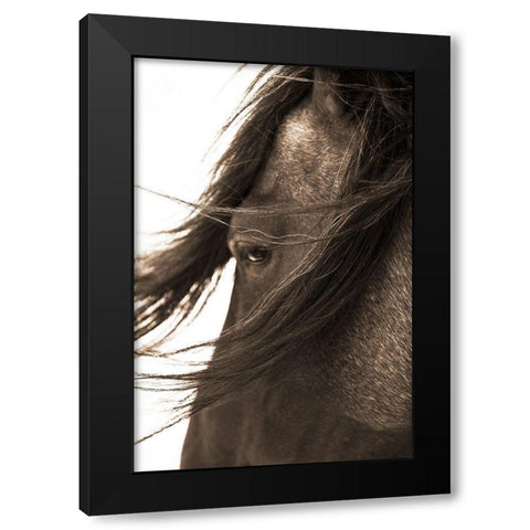 Dont Bother Me Black Modern Wood Framed Art Print with Double Matting by Dawson, Robert