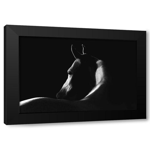 Moonlight Dreamer Black Modern Wood Framed Art Print with Double Matting by Dawson, Robert