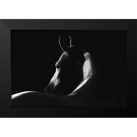 Moonlight Dreamer Black Modern Wood Framed Art Print by Dawson, Robert