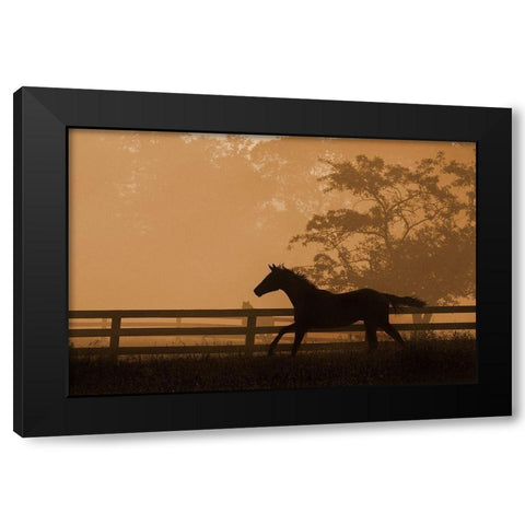 Headin For the Sun Black Modern Wood Framed Art Print with Double Matting by Dawson, Robert
