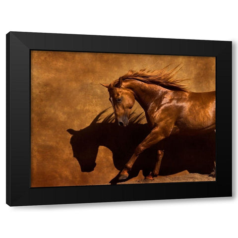 Adobe Dancer Black Modern Wood Framed Art Print with Double Matting by Dawson, Robert