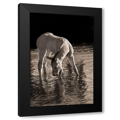 Cool Water Black Modern Wood Framed Art Print with Double Matting by Dawson, Robert