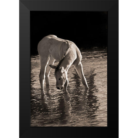 Cool Water Black Modern Wood Framed Art Print by Dawson, Robert