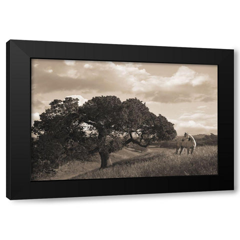California Evening Black Modern Wood Framed Art Print with Double Matting by Dawson, Robert