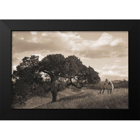 California Evening Black Modern Wood Framed Art Print by Dawson, Robert
