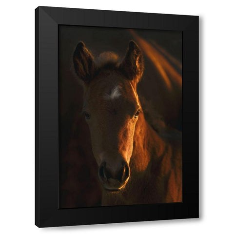 Little Miss Black Modern Wood Framed Art Print with Double Matting by Dawson, Robert