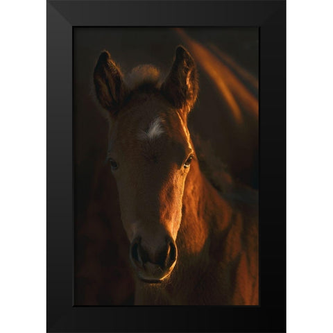 Little Miss Black Modern Wood Framed Art Print by Dawson, Robert