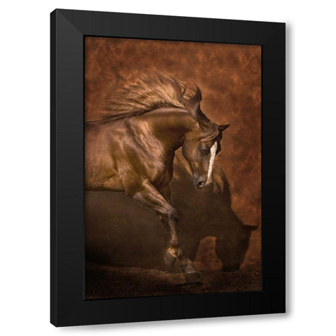 Horse Dancer Black Modern Wood Framed Art Print with Double Matting by Dawson, Robert
