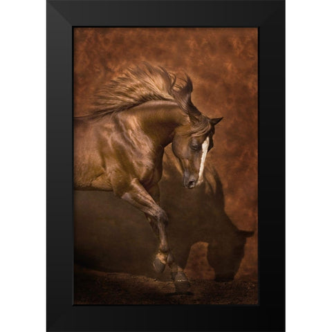 Horse Dancer Black Modern Wood Framed Art Print by Dawson, Robert