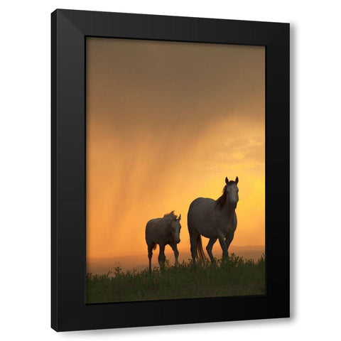 Evening Walk Black Modern Wood Framed Art Print with Double Matting by Dawson, Robert