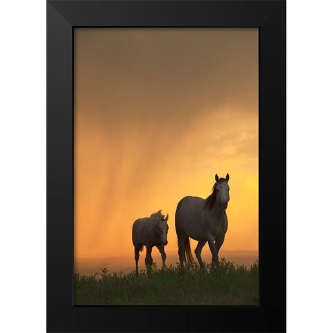 Evening Walk Black Modern Wood Framed Art Print by Dawson, Robert