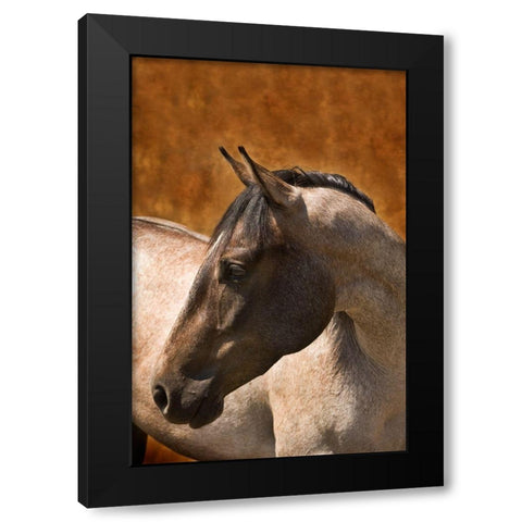 Leos Son Black Modern Wood Framed Art Print with Double Matting by Dawson, Robert