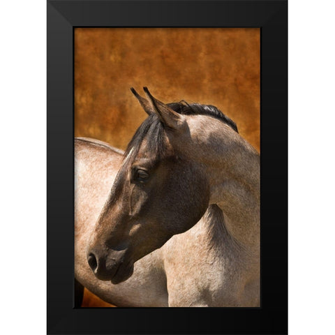 Leos Son Black Modern Wood Framed Art Print by Dawson, Robert
