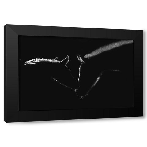 Moonlight Kiss Black Modern Wood Framed Art Print by Dawson, Robert