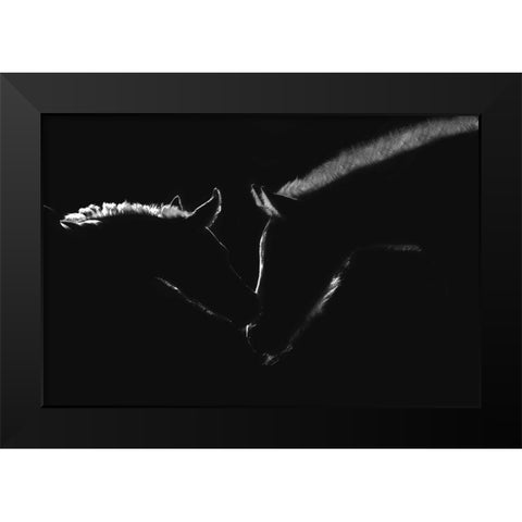 Moonlight Kiss Black Modern Wood Framed Art Print by Dawson, Robert