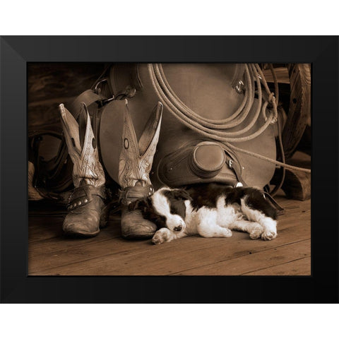 Cowboy Puppy Black Modern Wood Framed Art Print by Dawson, Robert