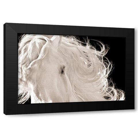 Leonardo Black Modern Wood Framed Art Print with Double Matting by Dawson, Robert