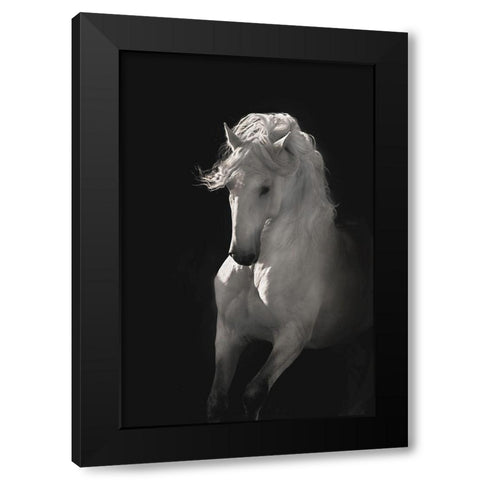 Into the Light Black Modern Wood Framed Art Print with Double Matting by Dawson, Robert