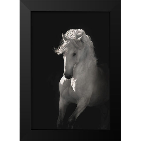 Into the Light Black Modern Wood Framed Art Print by Dawson, Robert