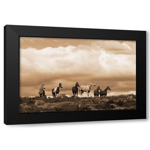 Prairie Song Black Modern Wood Framed Art Print with Double Matting by Dawson, Robert