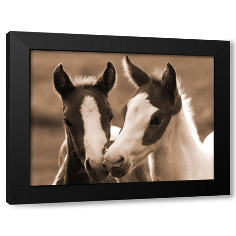Playful Friends Black Modern Wood Framed Art Print with Double Matting by Dawson, Robert