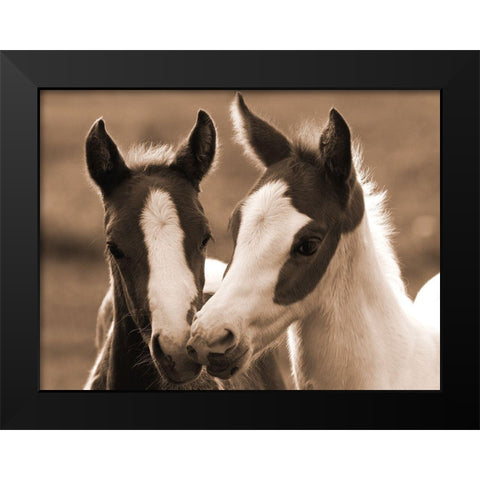 Playful Friends Black Modern Wood Framed Art Print by Dawson, Robert