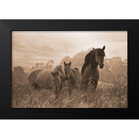 One Spring Morning Black Modern Wood Framed Art Print by Dawson, Robert
