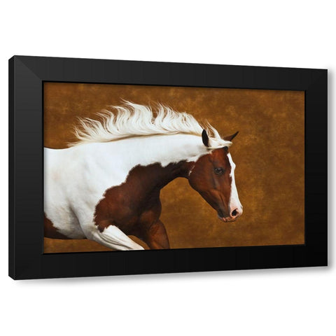 My Little Bella Black Modern Wood Framed Art Print with Double Matting by Dawson, Robert
