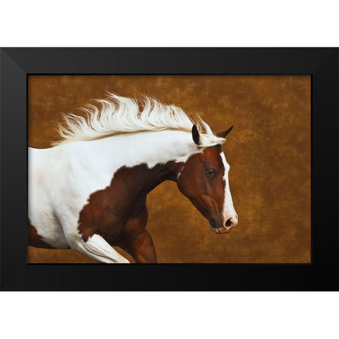 My Little Bella Black Modern Wood Framed Art Print by Dawson, Robert