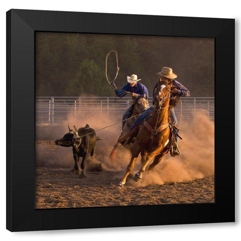 Roping on the Ranch III Black Modern Wood Framed Art Print by Dawson, Robert