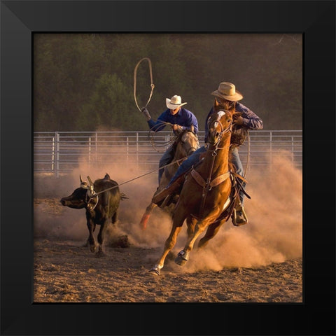 Roping on the Ranch III Black Modern Wood Framed Art Print by Dawson, Robert