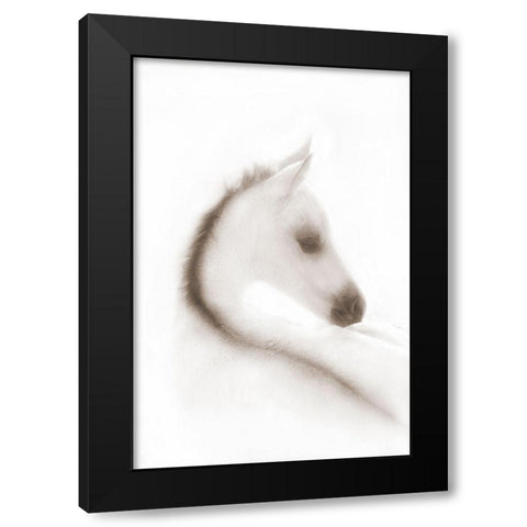 Snow White Black Modern Wood Framed Art Print by Dawson, Robert