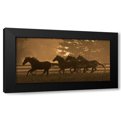 Running For Home II Black Modern Wood Framed Art Print with Double Matting by Dawson, Robert