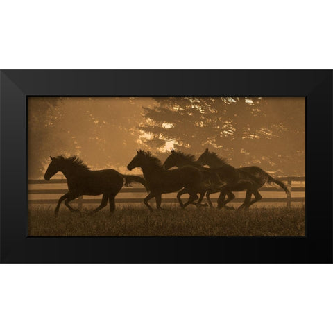 Running For Home II Black Modern Wood Framed Art Print by Dawson, Robert